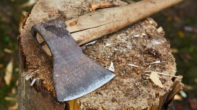 log cabin tool: Axe