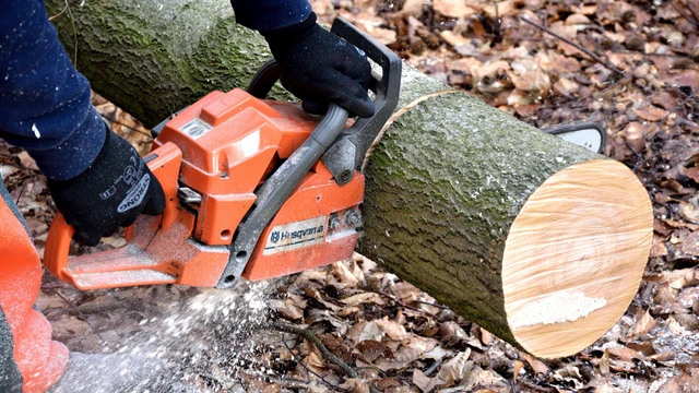 Chainsaw for logs