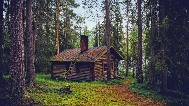 Choosing The Right Location And Size For  a Hunting Cabin