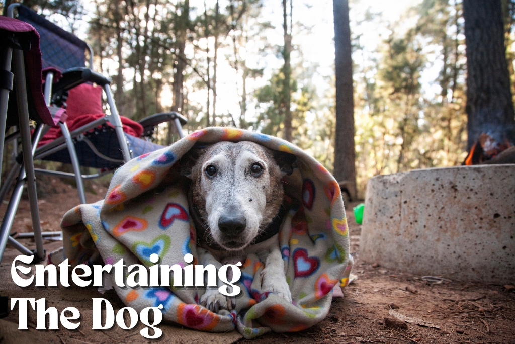 Entertaining The Dog When Solo Camping