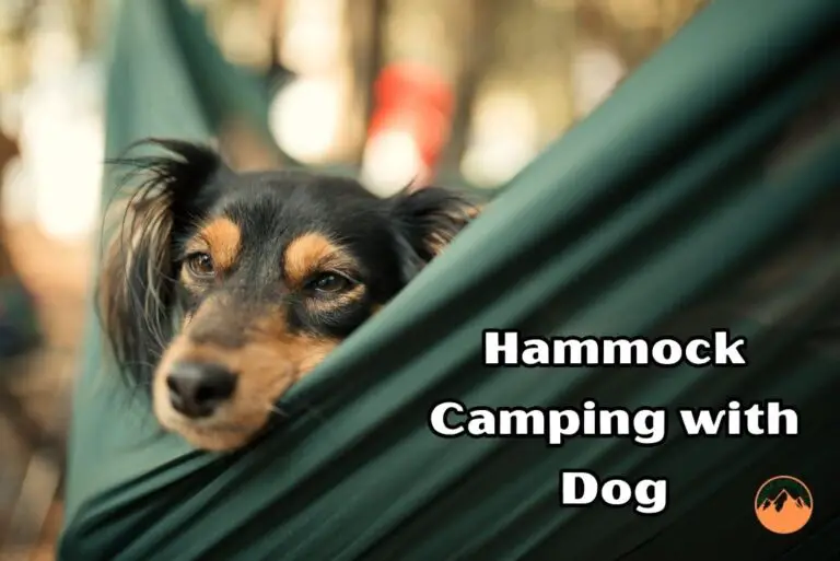 Hammock camping with dog