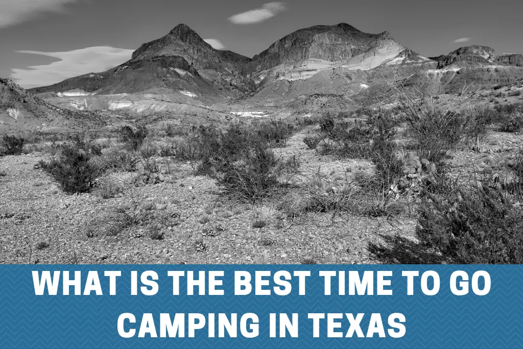 What is the Best Time to Go Camping in Texas