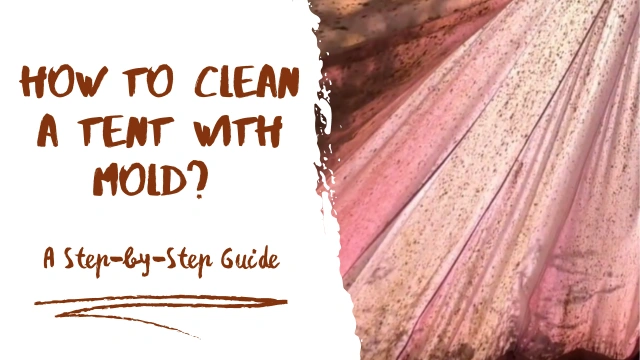 How to Clean a Tent with Mold in 8 Easy Steps