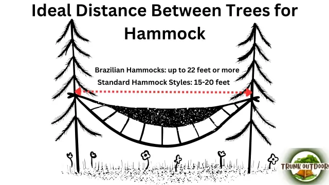 Ideal Distance Between Trees for Hammock