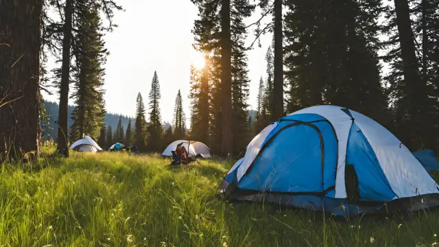 Camping in Sagehen Meadows