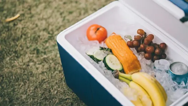 Can You Use Dry Ice To Keep Food Cold The Ultimate Guide