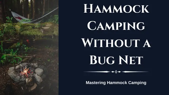 Hammock Camping Without a Bug Net