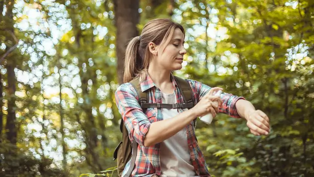 How to stay safe and comfortable while hammock camping without a bug net