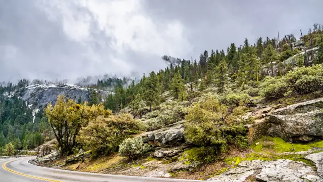 Winter Camping in Yosemite: Wawona Campground