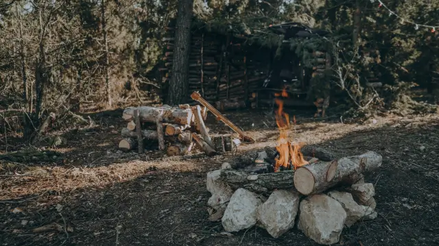 The Best Wood for a Campfire