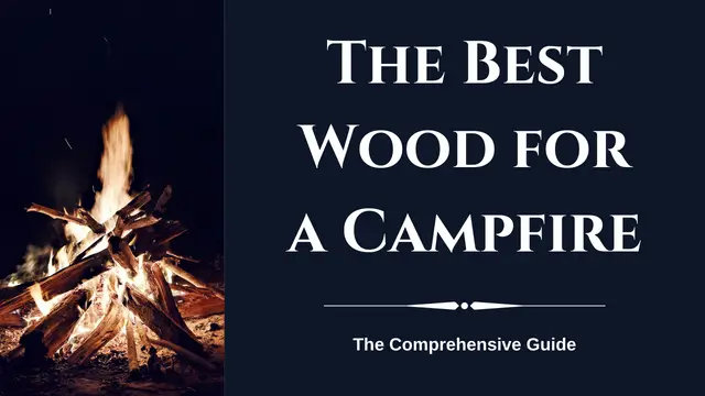 Best Wood for a Campfire