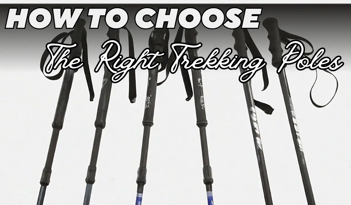 How to Choose the Right Trekking Poles