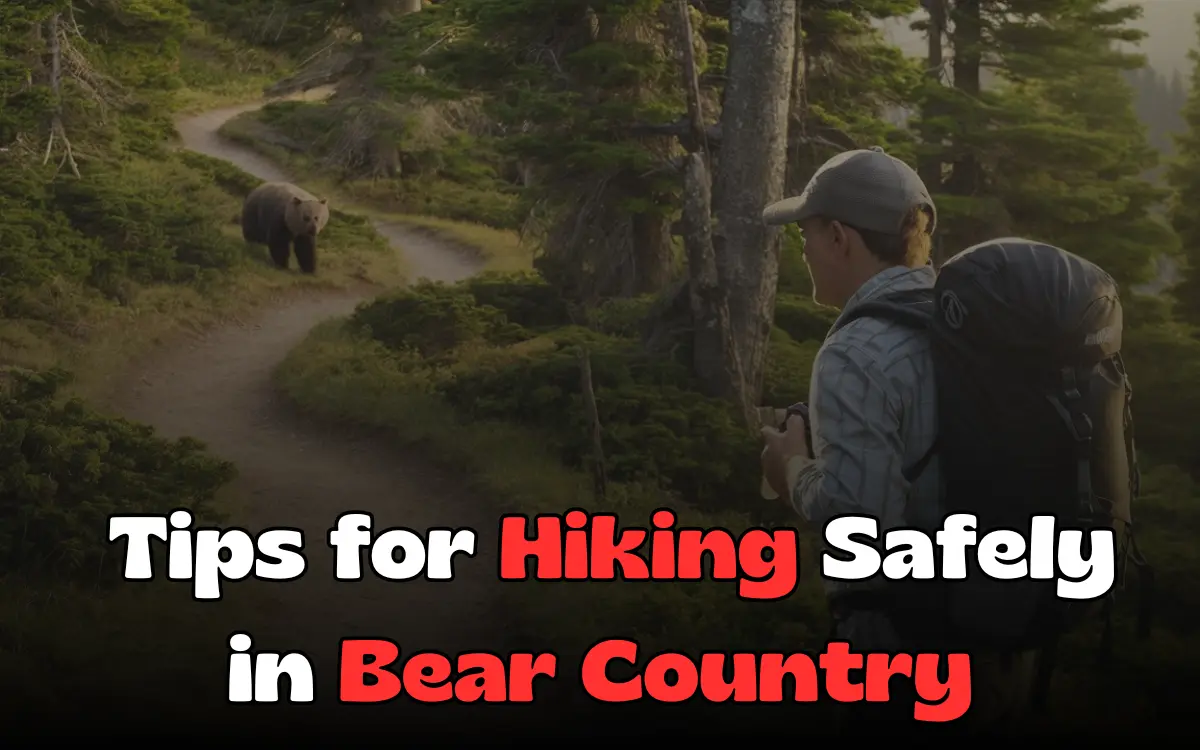 15 Essential Tips for Hiking Safely in Bear Country