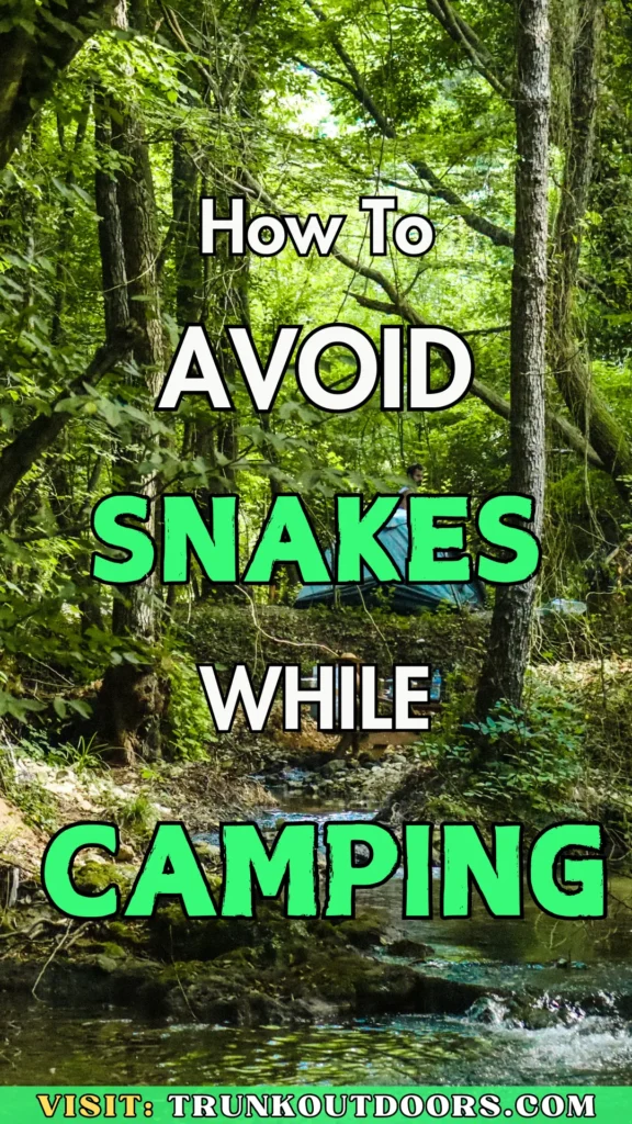 How to Avoid Snakes While Camping