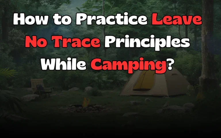 How to Practice Leave No Trace Principles While Camping