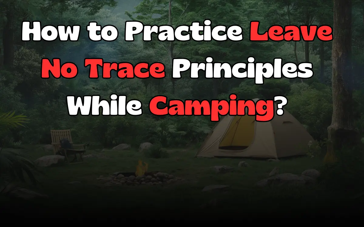 How to Practice Leave No Trace Principles While Camping