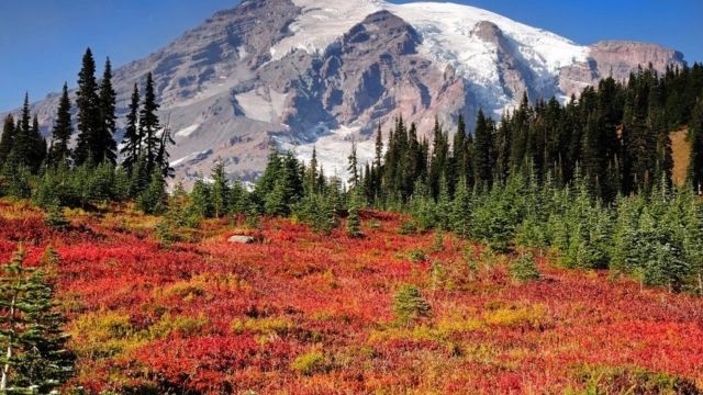 Best Fall Camping Destinations in the USA