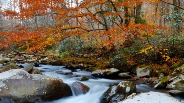 Best Fall Camping Destinations in the USA