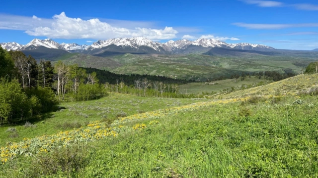 Acorn Creek Trail