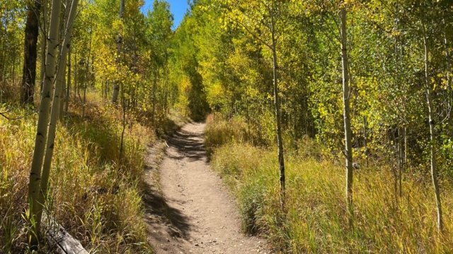 Meadow Creek to Lily Pad Lake