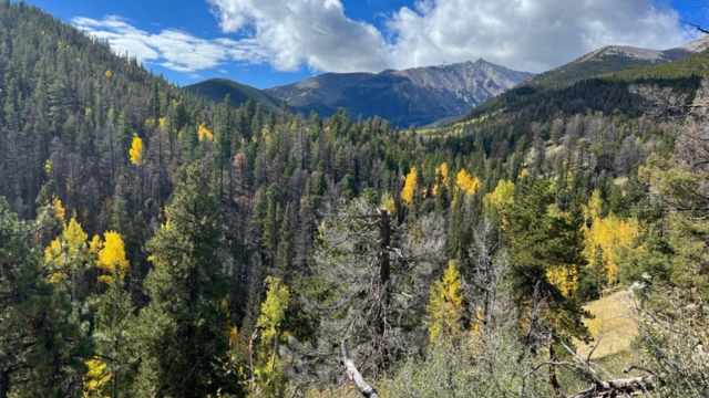 Browns Creek Waterfall Trail