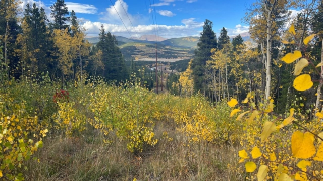 Colorado Trail at Kenosha Pass