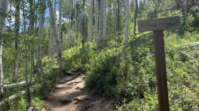 Berry Picker Trail