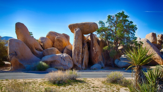 Things To Do Near Joshua Tree