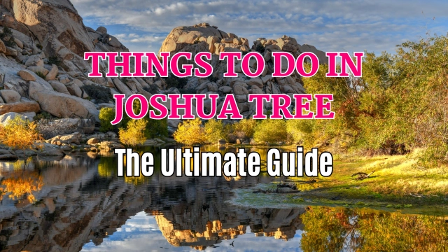 Things To Do In Joshua Tree: The Ultimate Guide