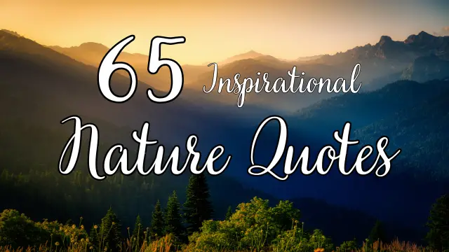 65 Inspirational Nature Quotes