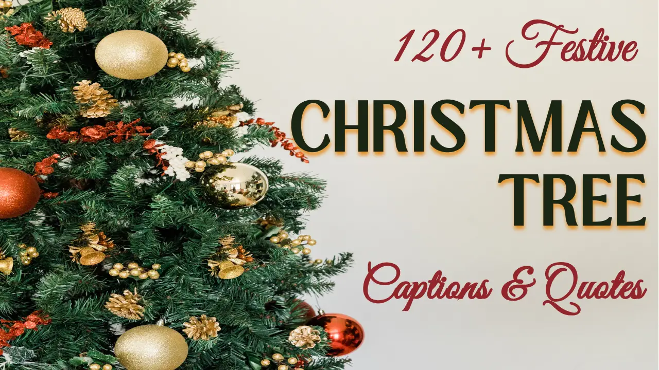 135 Festive Christmas Tree Captions & Quotes to Enhance Your Holiday Joy