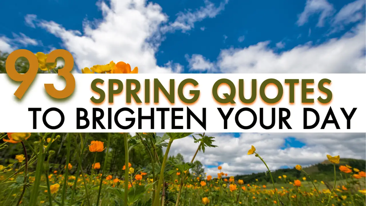 93 Spring Quotes to Brighten Your Day